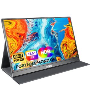 Portable monitor